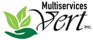 Multiservices Vert